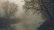 jrolinc_a_very_foggy_morning_country_scene_trees_shrouding_a_wide_river_edit
