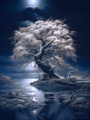 jrolinc_a_weeping_tree_by_the_water1_edit
