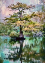 jrolinc_dolene_la_cypress_in_the_spring_by_dalley4_edit
