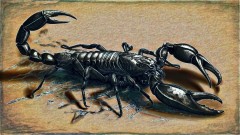jrolinc_scorpion_in_lineart2_edit