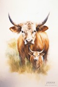jrolinc_watercolor_head_and_shoulder_of_a_texas_longhorn_female1_edit