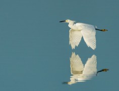jr_img_02959_edit