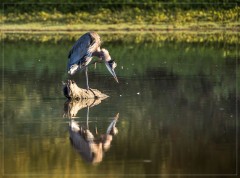 Fishing for breakfast