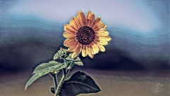 Single Painted Sunflower