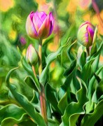 Pink Tulips - Painted