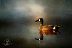 Painted on Canvas Duck