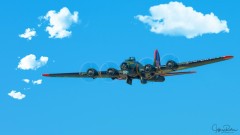 Vintage War Bird