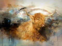 Highland Cow