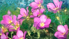 jr_img_08168_edit