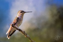 jr_img_9535_edit1