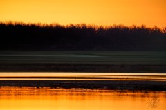 Graphic Orange Sunrise