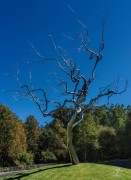 Metal Tree Sculpture