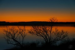 Glowing Sunrise
