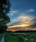 Sunrise over Meadow Pond