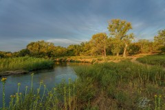 Lewisville Lake Tributary at sunrise