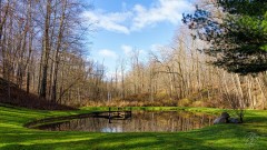 Family Pond