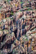 Abstract Rock Wall
