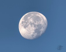 3Quarter Moon