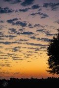 Rolinc Property Sunrise