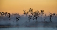 Pastel Colors on a Foggy Morning