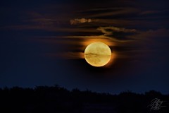 Full Moon over Hagerman Refuge