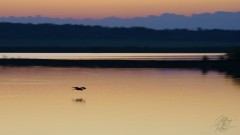 Layered Sunrise