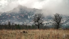 Foggy Mountain